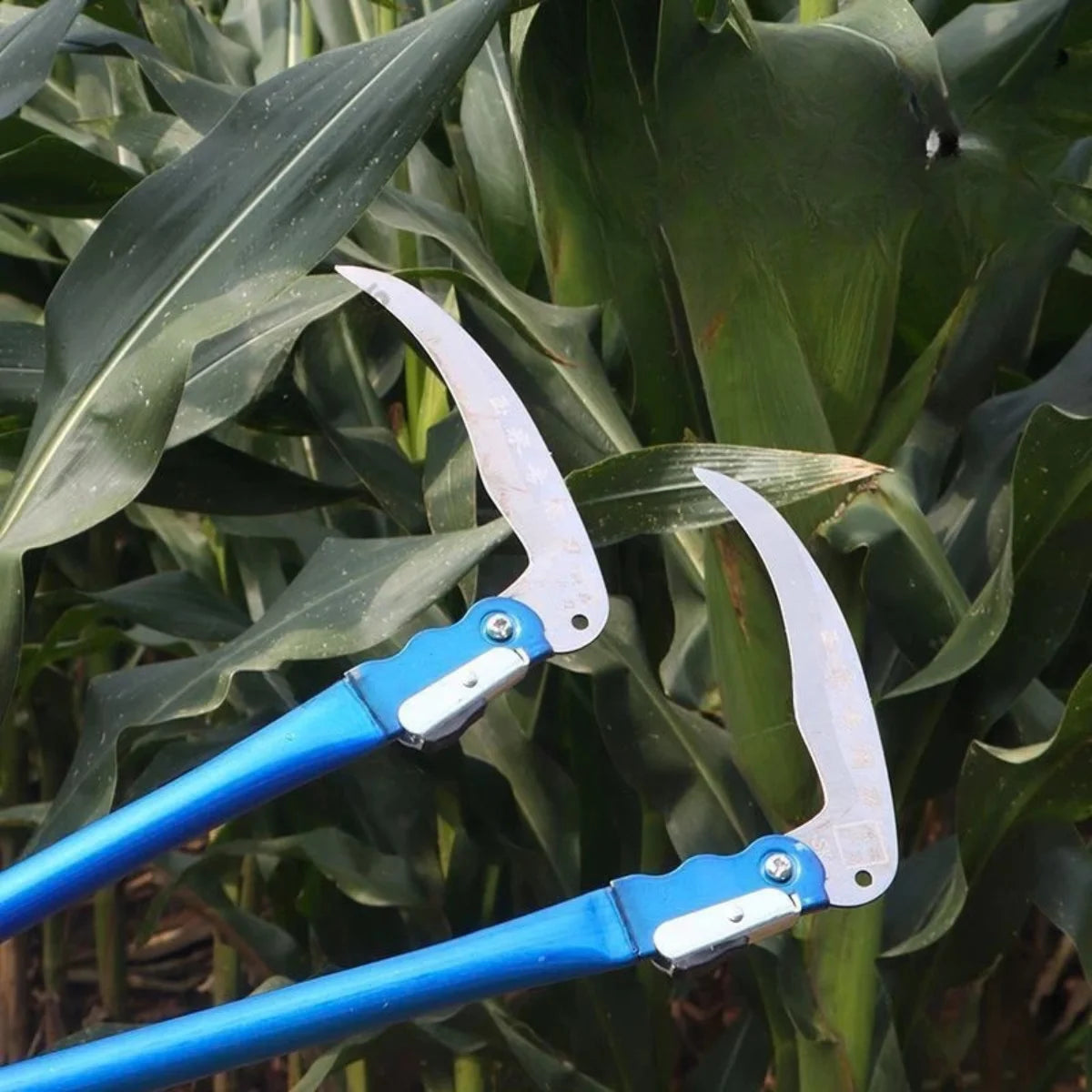 Faucille pliante professionnelle