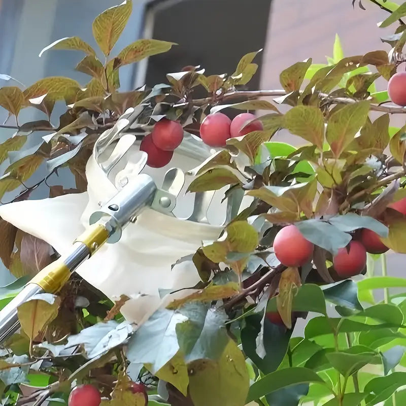 Panier Cueilleur de Fruits