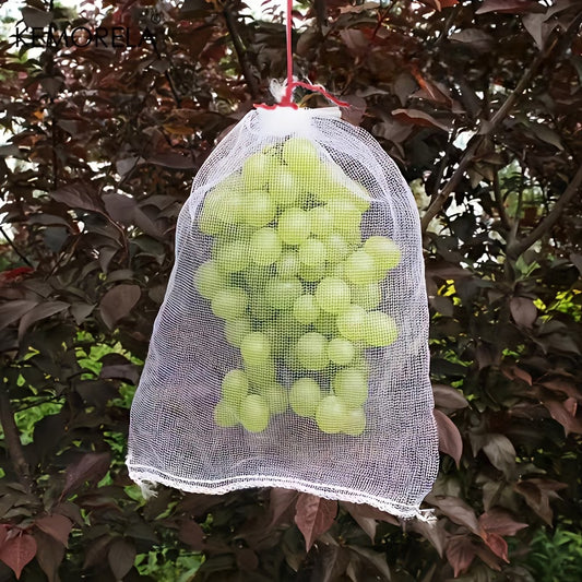 Lot de 50 Sacs de Protection