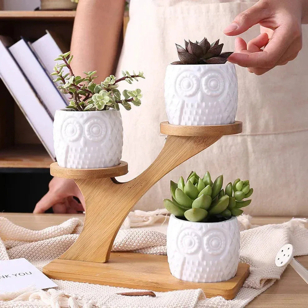 Porte Plante d'intérieur Design en Bambou