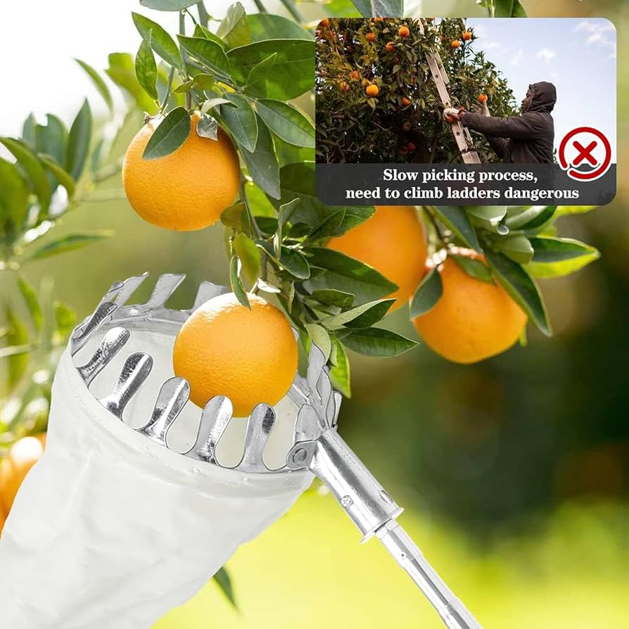 Panier Cueilleur de Fruits
