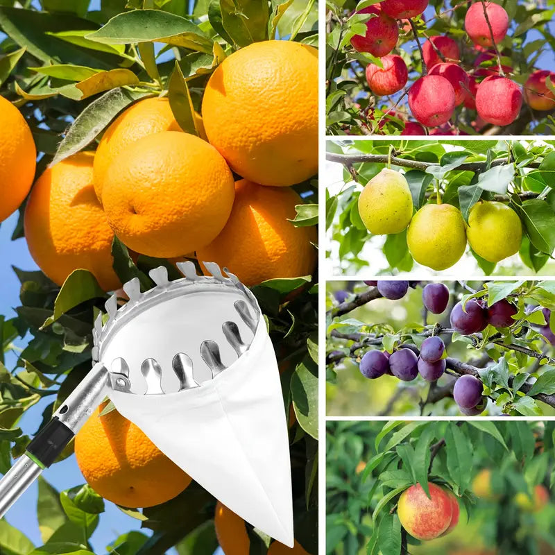 Panier Cueilleur de Fruits