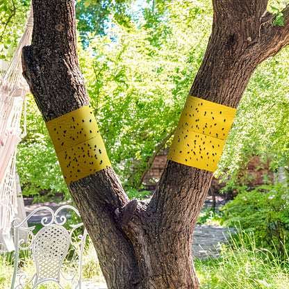 Le Ruban de Protection Ultime pour Arbres