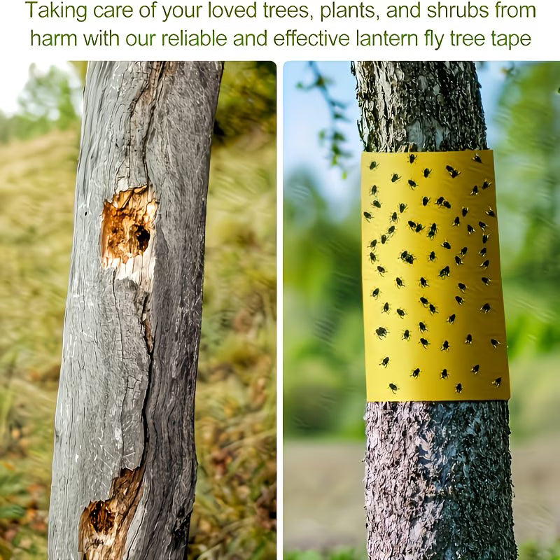 Le Ruban de Protection Ultime pour Arbres