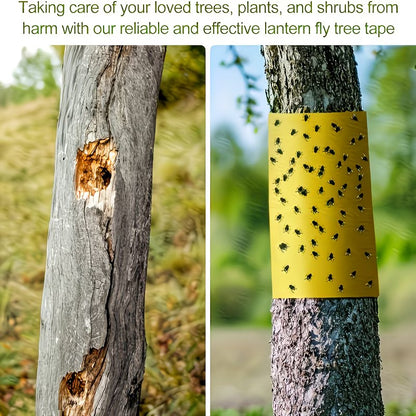 Le Ruban de Protection Ultime pour Arbres