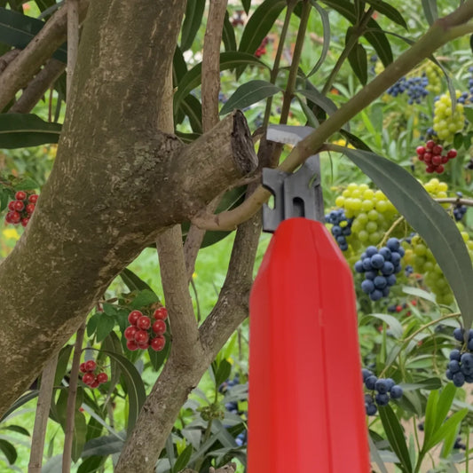 Outil de Cueillette Fruits