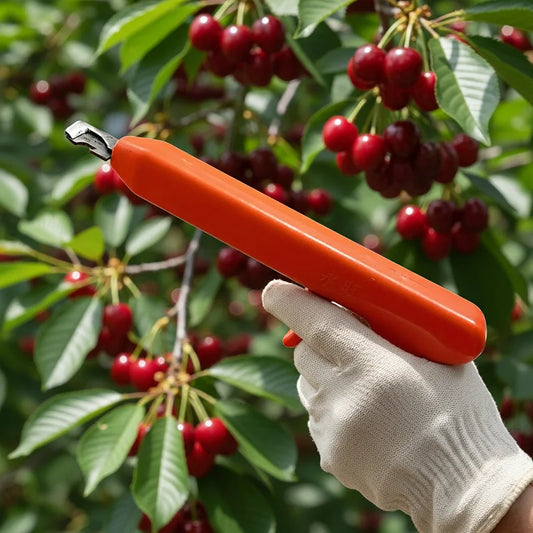 Outil de Cueillette Fruits