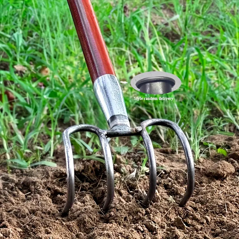 Grattoir à Ecorce en Acier Durable