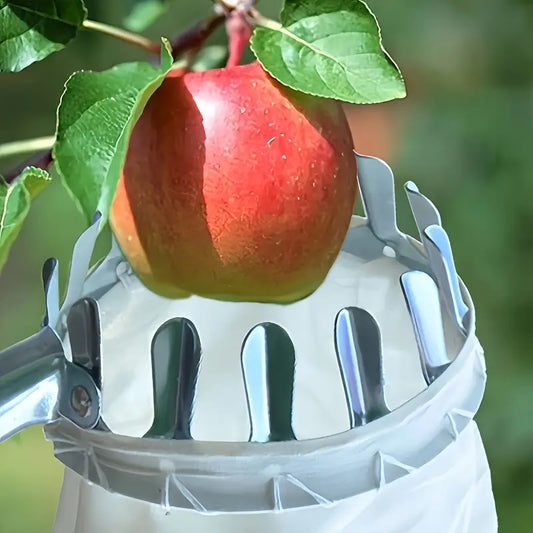 Panier Cueilleur de Fruits