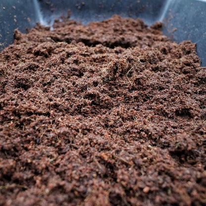 Pack 4 Brique de Fibre de Coco