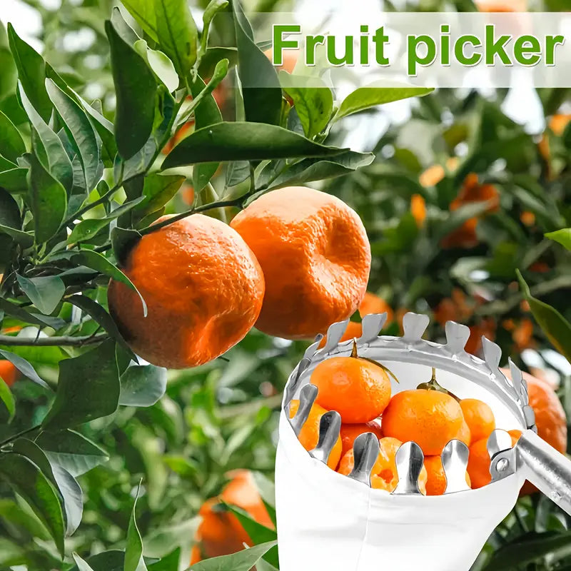 Panier Cueilleur de Fruits